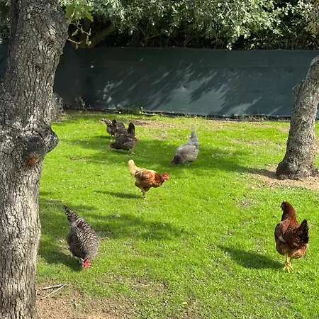 Delpinolocations Apartment *