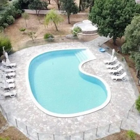 Daire Delpinolocations Pigna