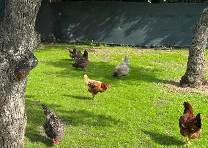 Delpinolocations Appartement *